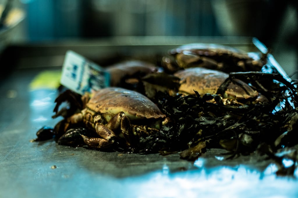Marché-notre-dame-poissonnerie-au-ptit-pecheur-