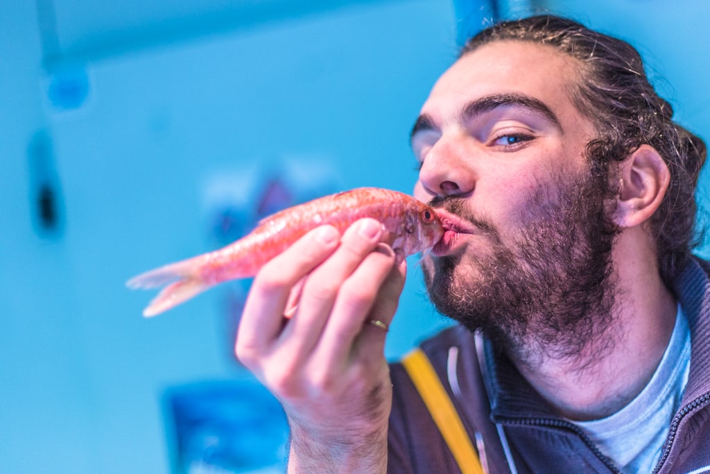 Marché-notre-dame-poissonnerie-au-ptit-pecheur-