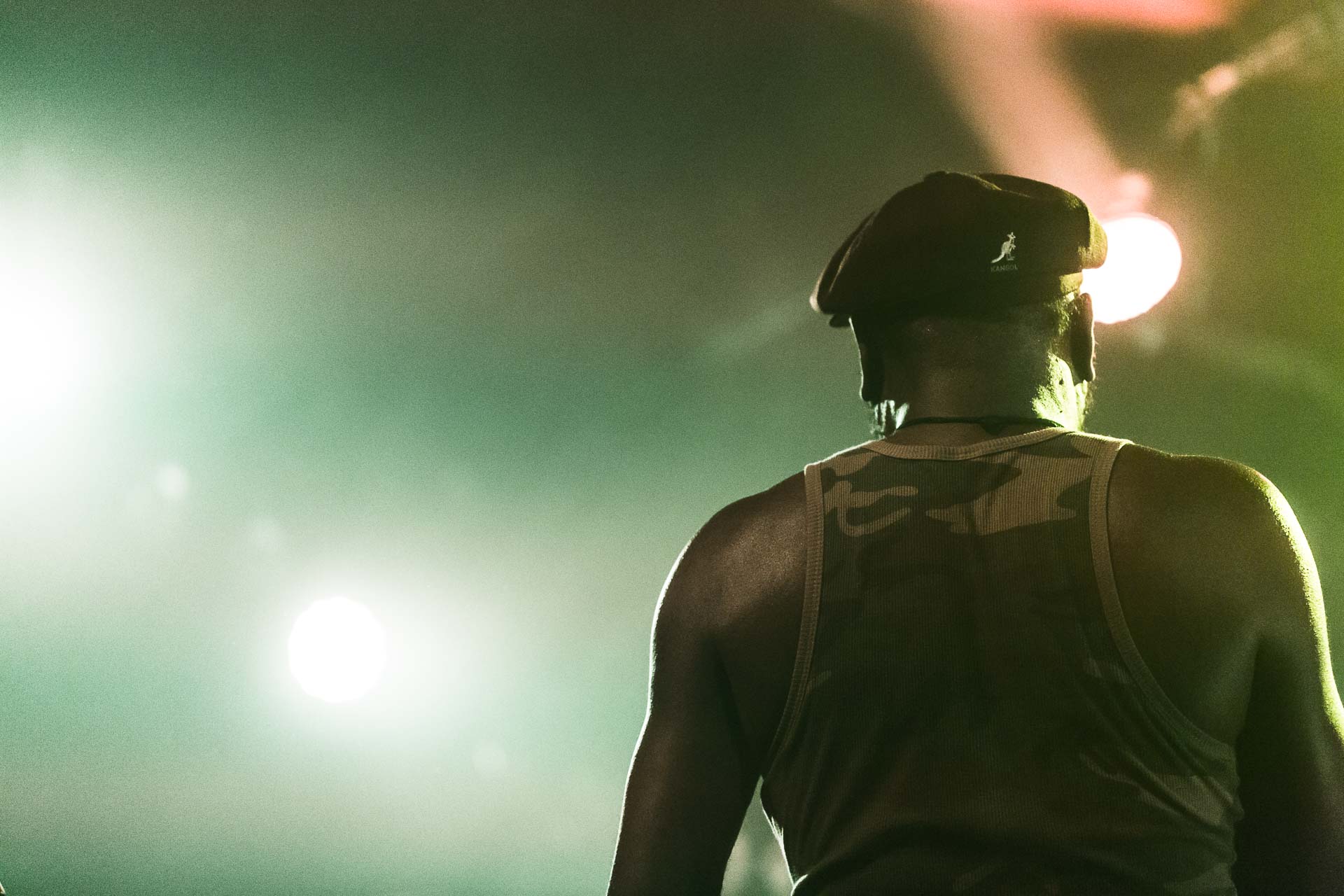 photo-concert-clinton-fearon-paris-cabaret-sauvage-2016