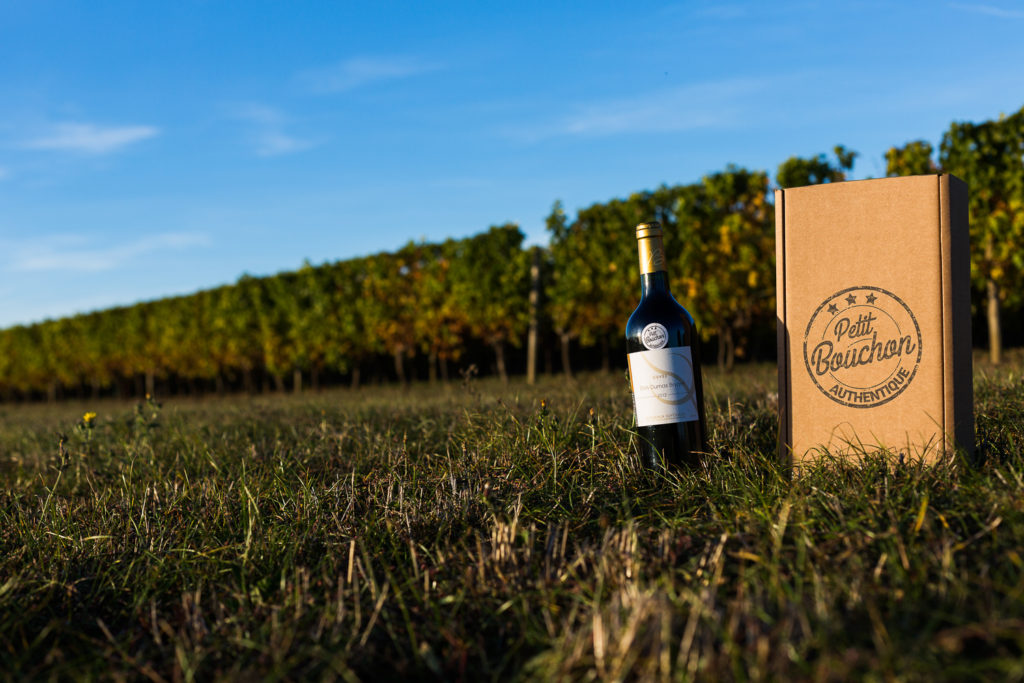 bouteille et pack dans une vigne - Photo pour le site ptit bouchon, vente de vin en ligne