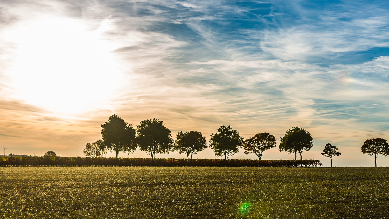 couché de soleil avec des arbres à la campgane