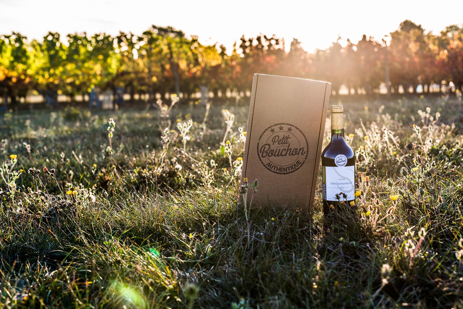 vigne - Photo pour le site ptit bouchon, vente de vin en ligne