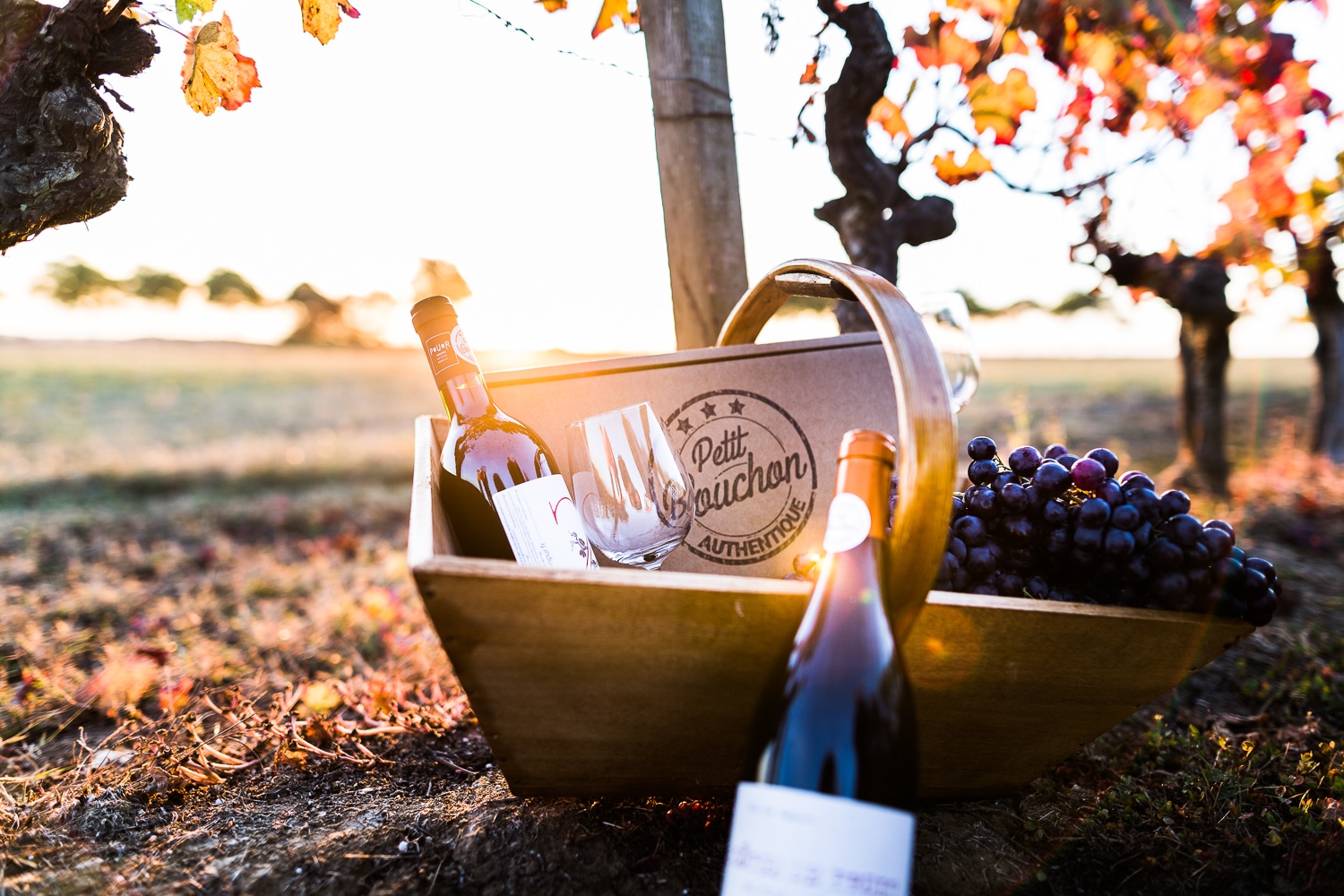 panier avec des bouteilles de vin sur une petite table - Photo pour le site ptit bouchon, vente de vin en ligne