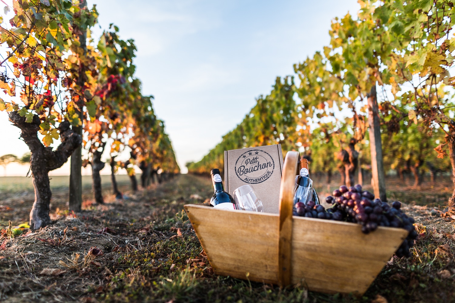 vigne et panier - ptit-bouchon-seance-photo-d-entreprise-8