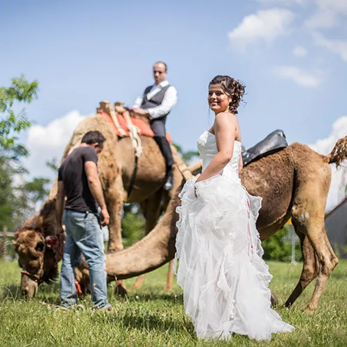 Photographie de mariage par Photographe Poitiers