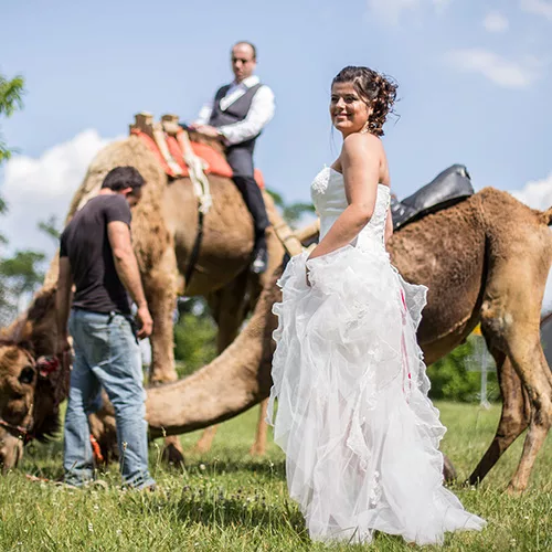 Photographie de mariage par Photographe Poitiers